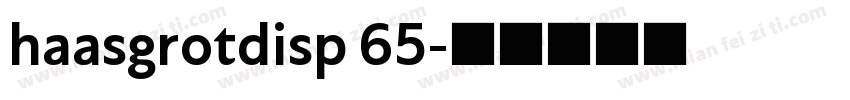 haasgrotdisp 65字体转换